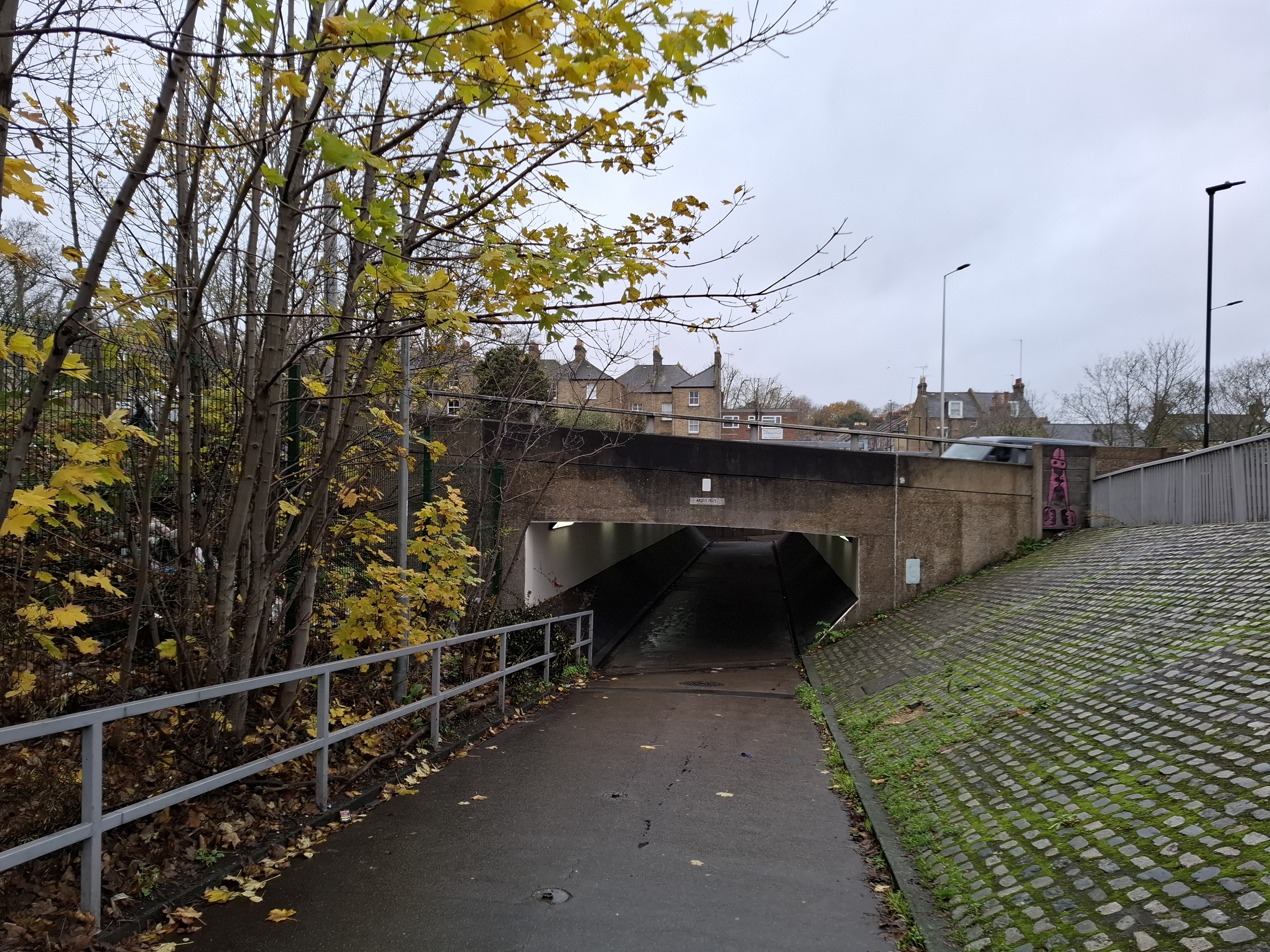 The foot tunnel between Bramshot Avenue and Siebert Road